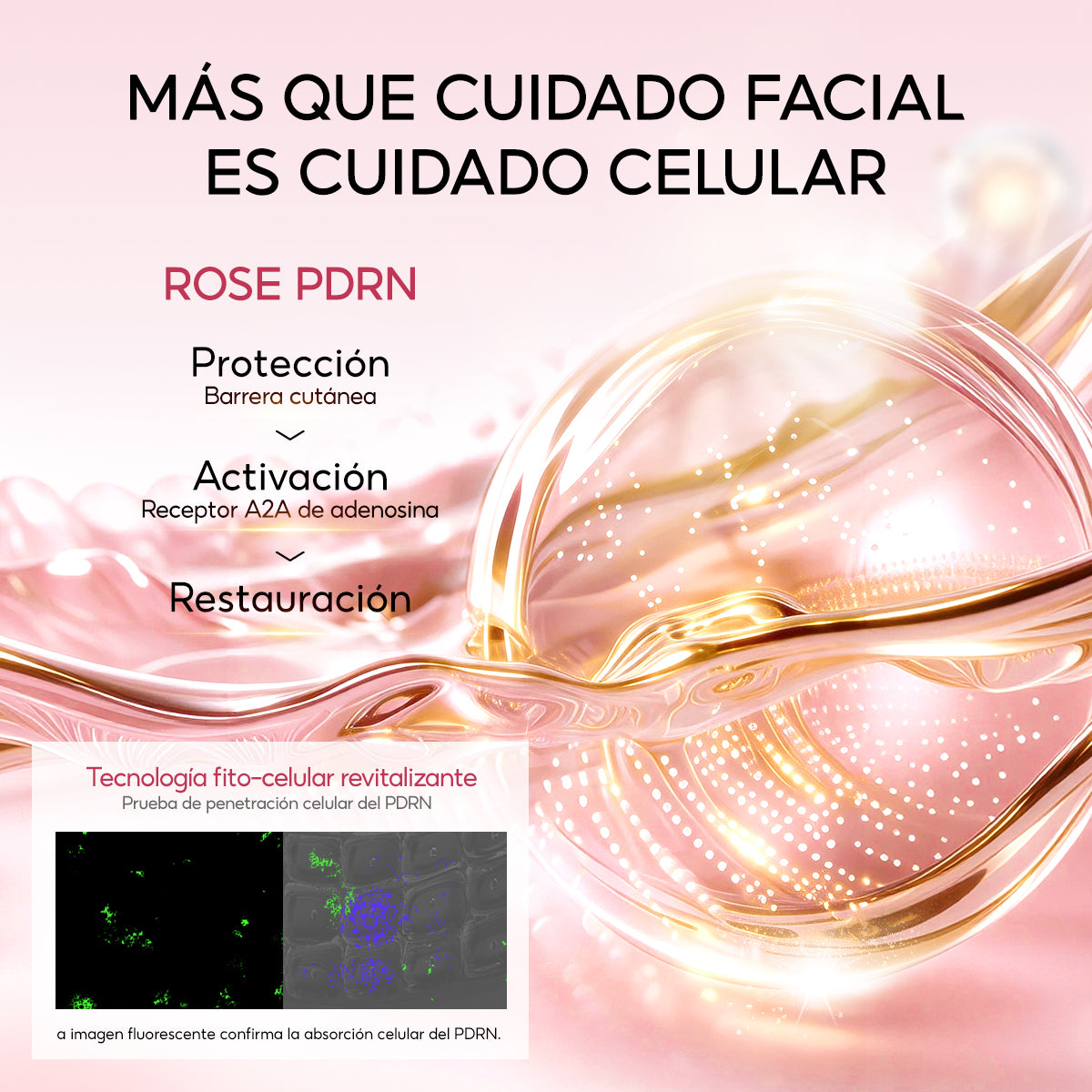 PAPA FEEL SPRAY FACIAL ROSA 3 EN 1