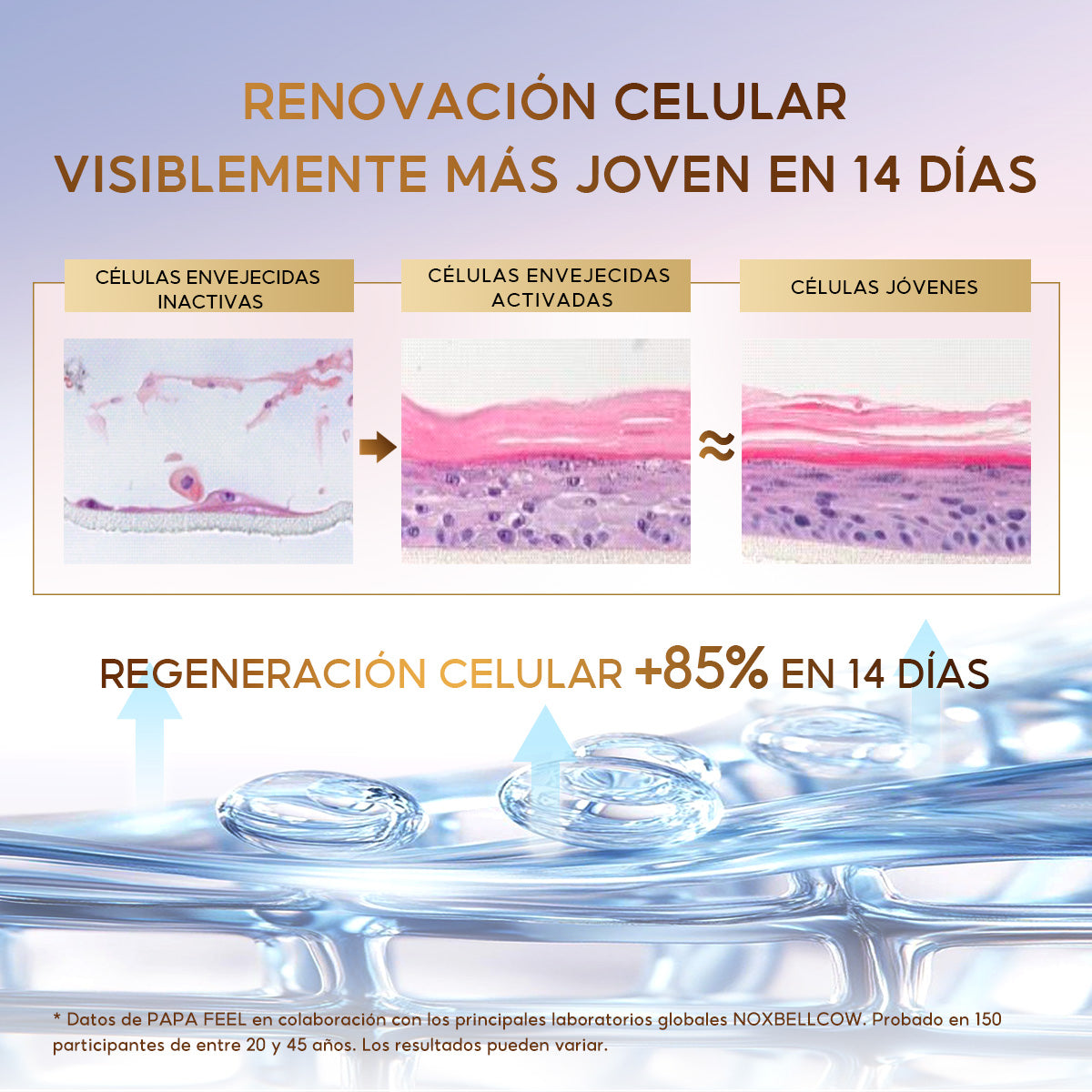 PAPA FEEL CREMA REAFIRMANTE REPARADORA DE LA BARRERA CELULAR 50g