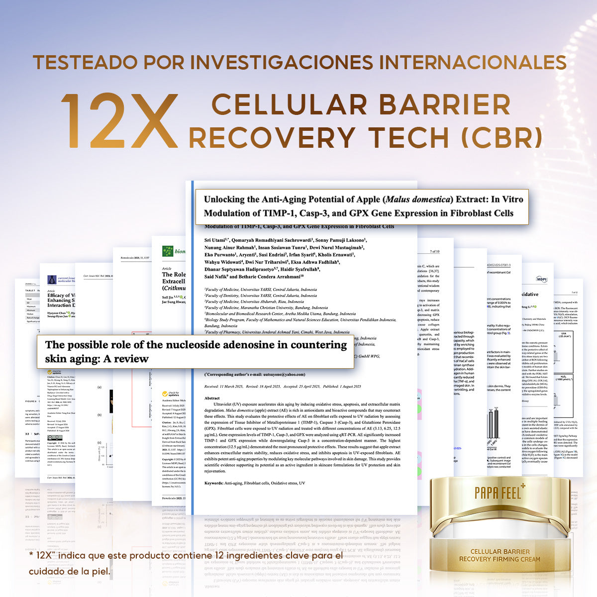 PAPA FEEL CREMA REAFIRMANTE REPARADORA DE LA BARRERA CELULAR 50g