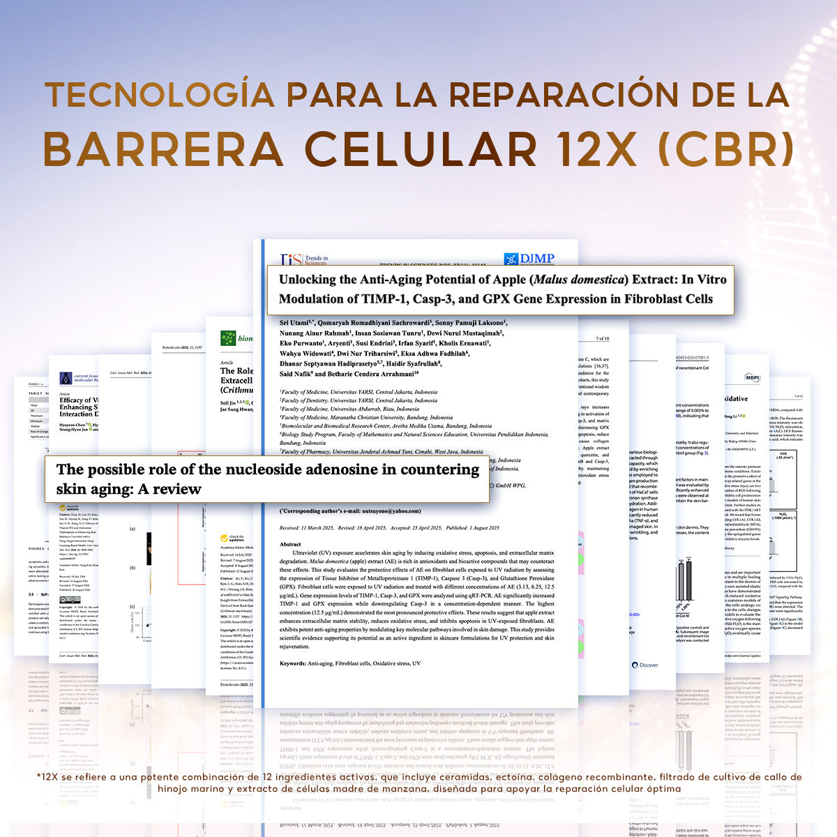 PAPA FEEL REGENERADOR DE BARRERA CELULAR LIMPIADOR SUAVE 100g
