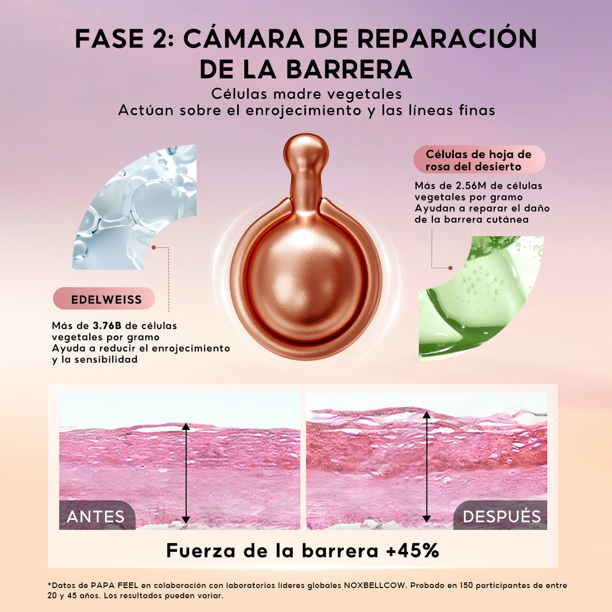 PAPA FEEL CELLULAR REVITALIZING CAPSULE SERUM OIL SET