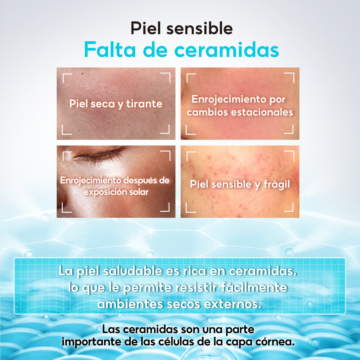 PAPA FEEL 5X CERAMIDE BARRIER REPAIR MOISTURIZER
